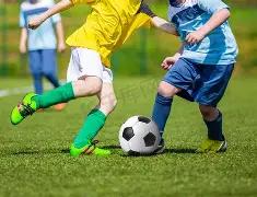 足坛热点,麦克托米奈,展望那不勒,1xbet官网,1xbet体育官方网站,1xbet官网入口,1xbet体育官网