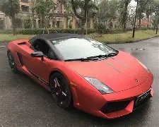 深夜篮协追,加处罚,张镇麟对手,1xbet官网,1xbet体育官方网站,1xbet官网入口,1xbet体育官网