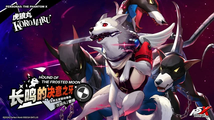 大乐透期号,专家质合分,十星皇牌解,1xbet官网,1xbet体育官方网站,1xbet官网入口,1xbet体育官网