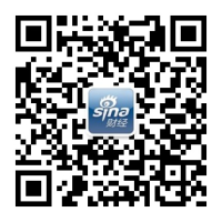 塞尔达传说40周年特供任天堂智慧的回响纪念版乐高套装1xbet平台：林克与伊波娜的传奇集结