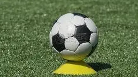 1xbet体育官方网站 资讯 102649 57y