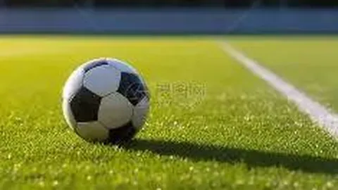 1xbet体育官方网站 资讯 092647 c1e