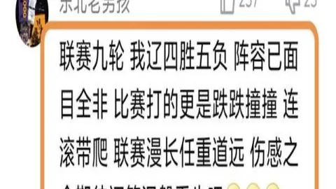 独行侠横扫开拓者，东契奇三双闪耀，欧文20分，艾顿贡献16分9篮板